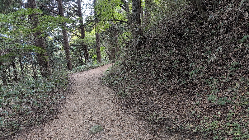 金剛山登山ルート(遊歩道)