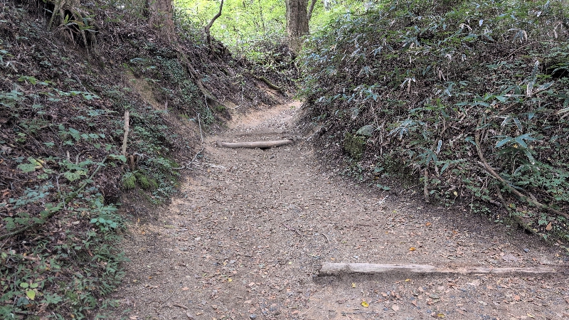 金剛山登山ルート(遊歩道)