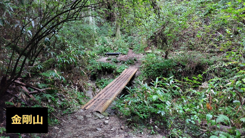 金剛山登山ルート（細尾谷ルート）