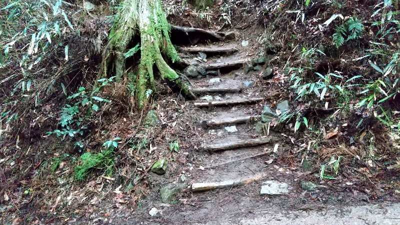 金剛山登山ルート（文殊中尾根ルート）