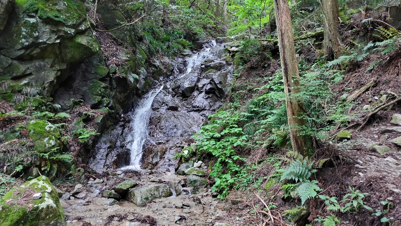 金剛山登山ルート（細尾谷ルート）