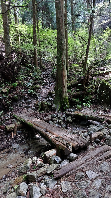 金剛山登山ルート（細尾谷ルート）