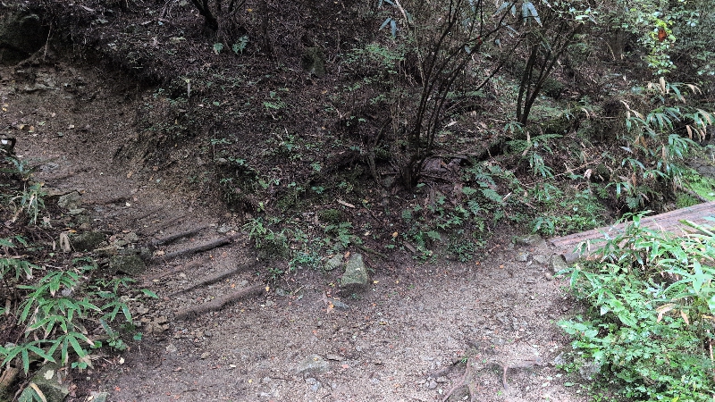 金剛山登山ルート（細尾谷ルート）