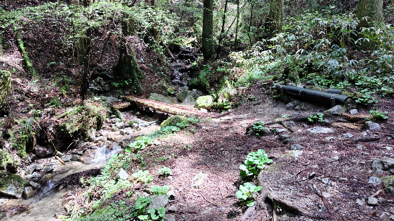 金剛山登山ルート（細尾谷ルート）