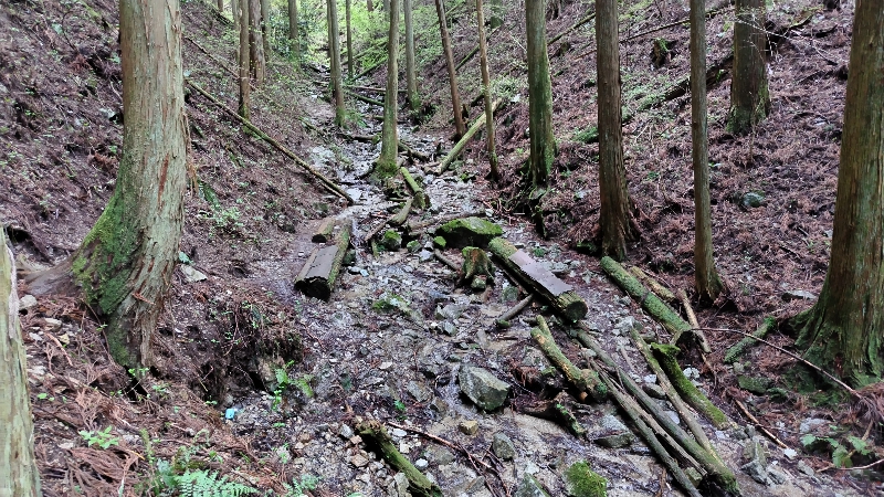 金剛山登山ルート（細尾谷ルート）