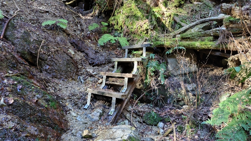 金剛山登山ルート（細尾谷ルート）