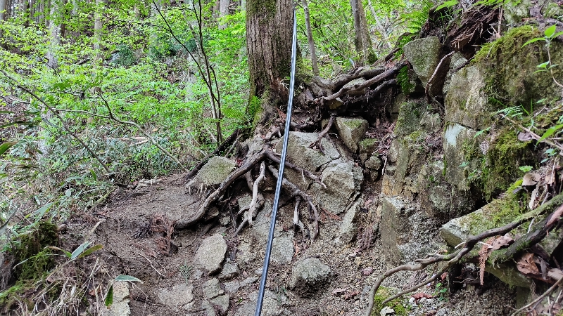金剛山登山ルート（細尾谷ルート）