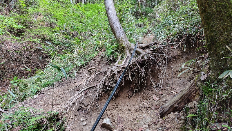 金剛山登山ルート（細尾谷ルート）