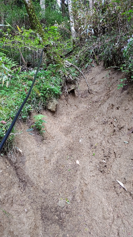 金剛山登山ルート（細尾谷ルート）