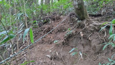 金剛山登山ルート（細尾谷ルート）