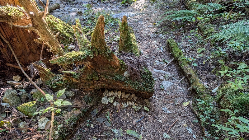 金剛山登山ルート（細尾谷ルート）