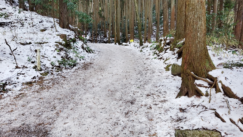金剛山の百ヶ辻登山口