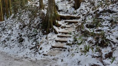 金剛山登山ルート（文殊中尾根ルート）