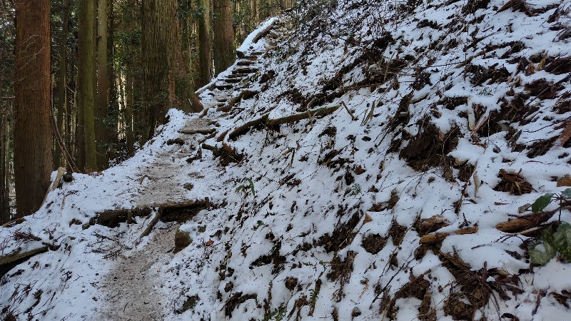 金剛山登山ルート（文殊中尾根ルート）