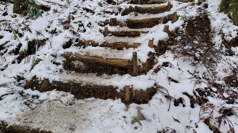 金剛山登山ルート（文殊中尾根ルート）
