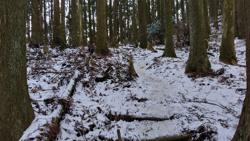 金剛山登山ルート（文殊中尾根ルート）