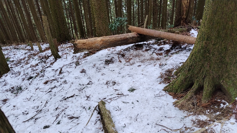 金剛山登山ルート（文殊中尾根ルート）