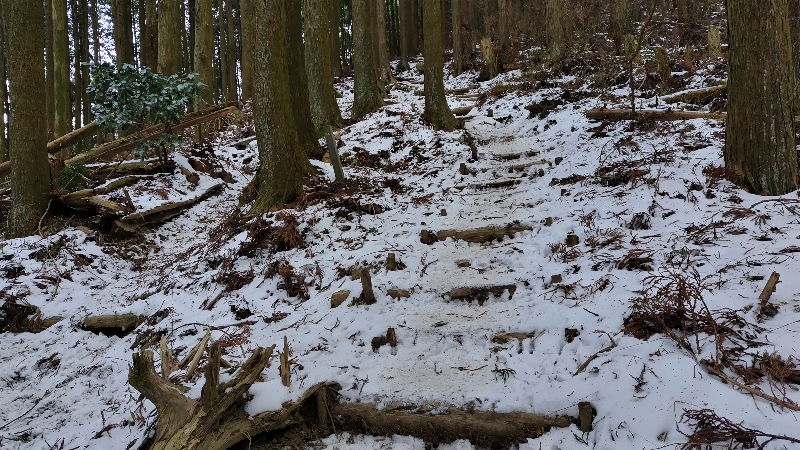 金剛山登山ルート（文殊中尾根ルート）