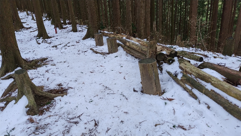 金剛山登山ルート（文殊中尾根ルート）