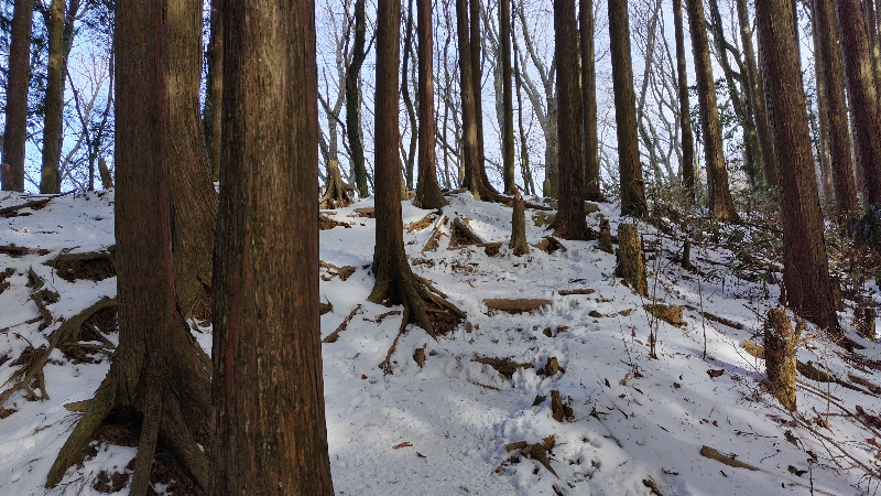 金剛山登山ルート（文殊中尾根ルート）