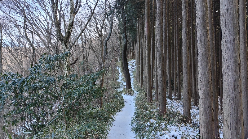 金剛山登山ルート（文殊中尾根ルート）