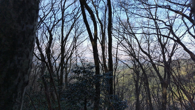 金剛山登山ルート（文殊中尾根ルート）