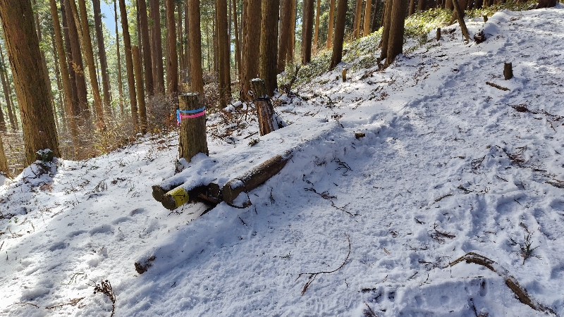 金剛山登山ルート（文殊中尾根ルート）