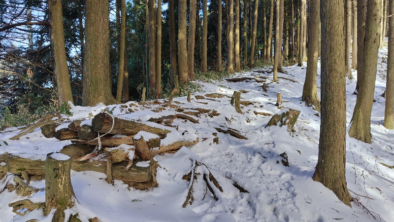 金剛山登山ルート（文殊中尾根ルート）