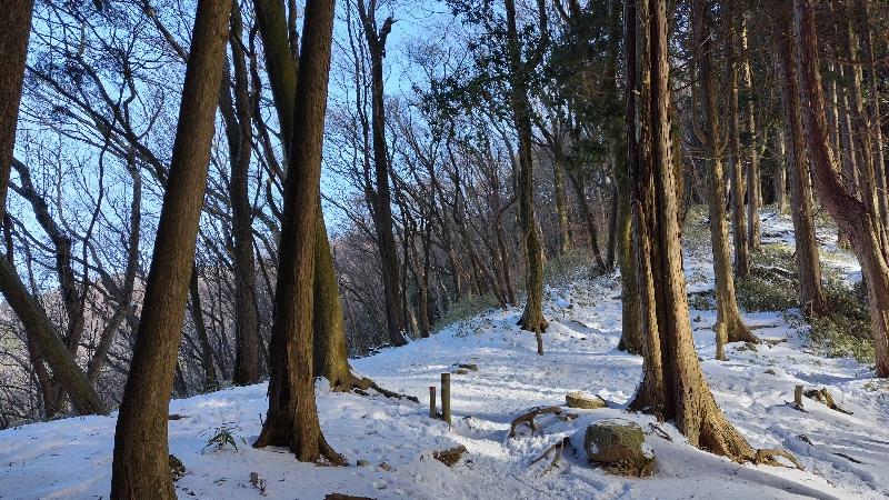 金剛山登山ルート（文殊中尾根ルート）