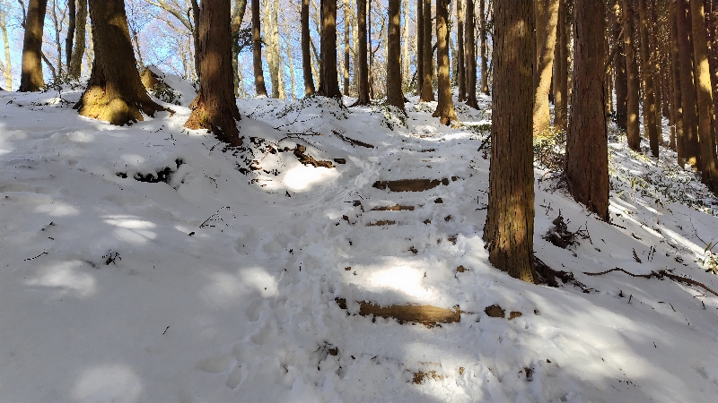 金剛山登山ルート（文殊中尾根ルート）