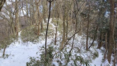 金剛山登山ルート（文殊中尾根ルート）