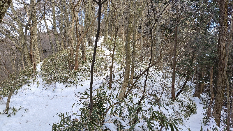 金剛山登山ルート（文殊中尾根ルート）