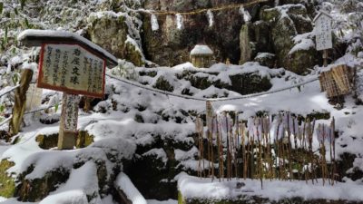 金剛山登山ルート（文殊中尾根ルート）