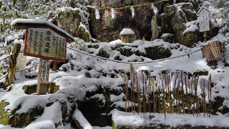 金剛山登山ルート（文殊中尾根ルート）