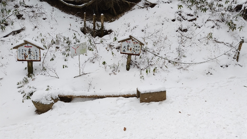 金剛山登山ルート（文殊中尾根ルート）