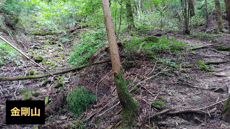 金剛山登山ルート（細尾谷ルート）