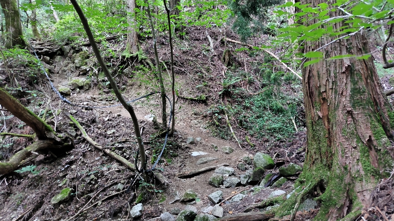 金剛山登山ルート（細尾谷ルート）