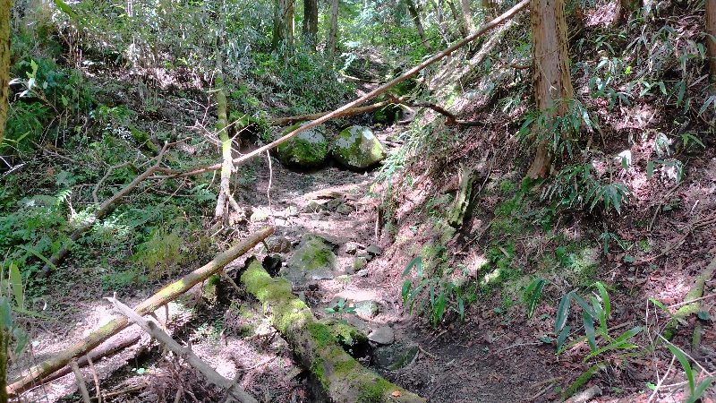 金剛山登山ルート（細尾谷ルート）