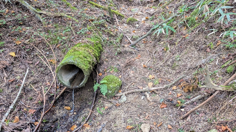 金剛山登山ルート（細尾谷ルート）