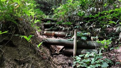 金剛山登山ルート（細尾谷ルート）派生