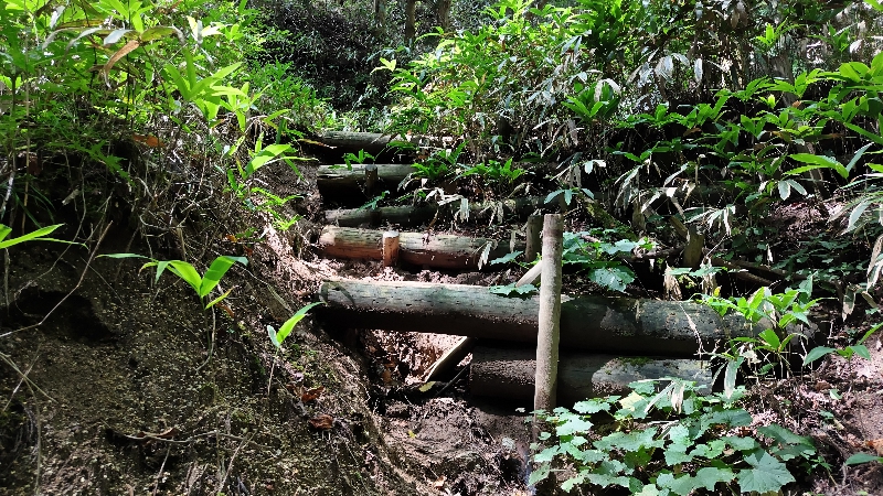 金剛山登山ルート（細尾谷ルート）派生