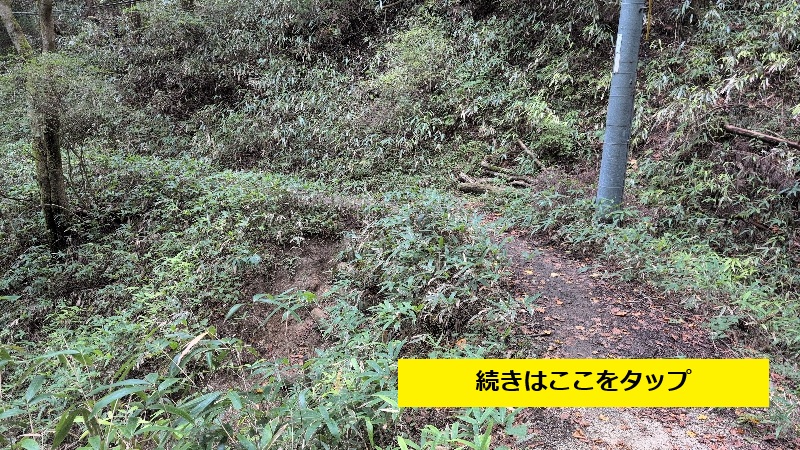 金剛山登山ルート（細尾谷ルート）派生