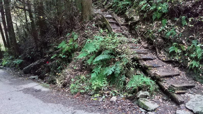 金剛山登山ルート(寺谷ルート)