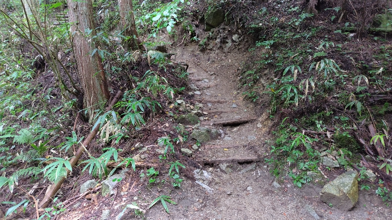 金剛山登山ルート(馬の背ルート)
