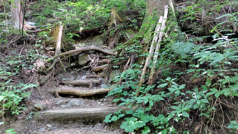 金剛山登山ルート(馬の背ルート)