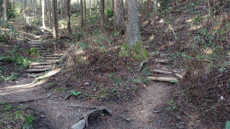 金剛山登山ルート(馬の背ルート)