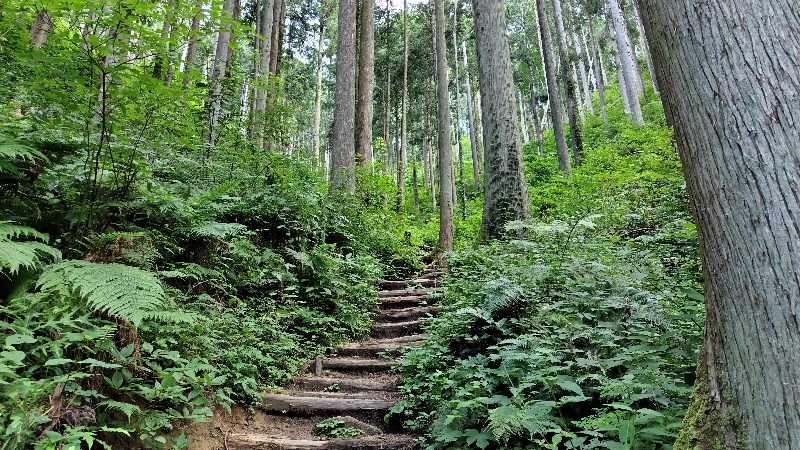 金剛山登山ルート(馬の背ルート)