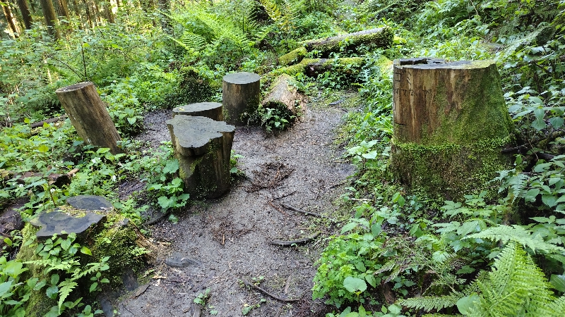 金剛山登山ルート(馬の背ルート)