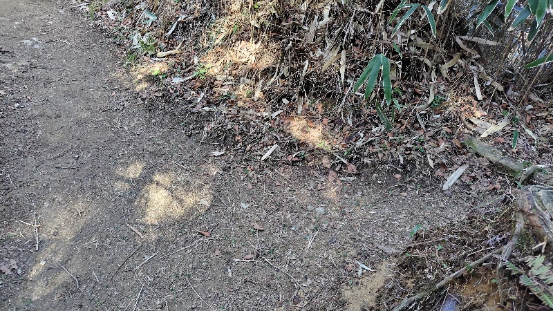 金剛山登山ルート(馬の背ルート)