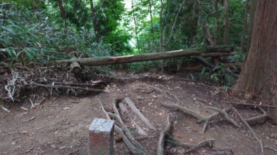 金剛山登山ルート（馬の背ルート）